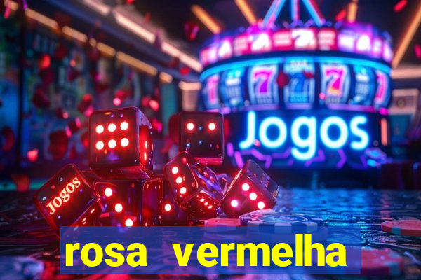 rosa vermelha (letra e cifra)